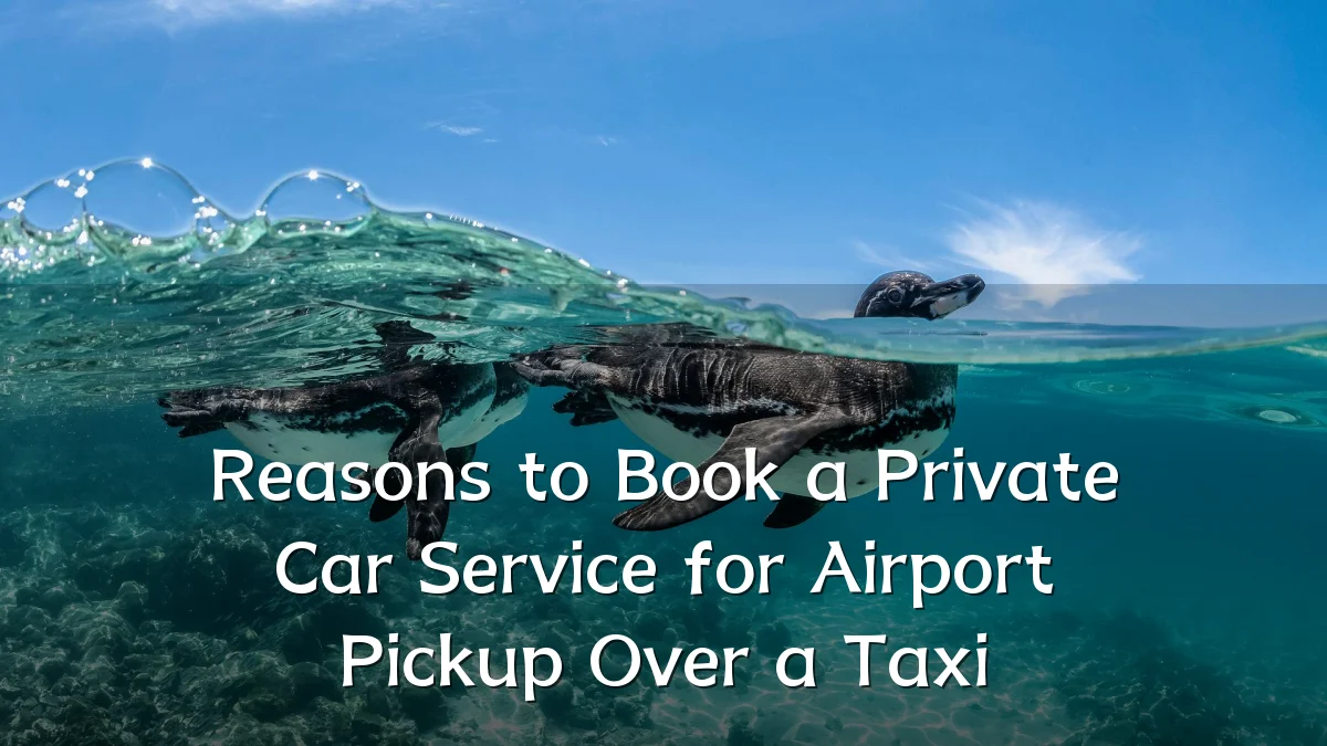 Reasons to Book a Private Car Service for Airport Pickup Over a Taxi