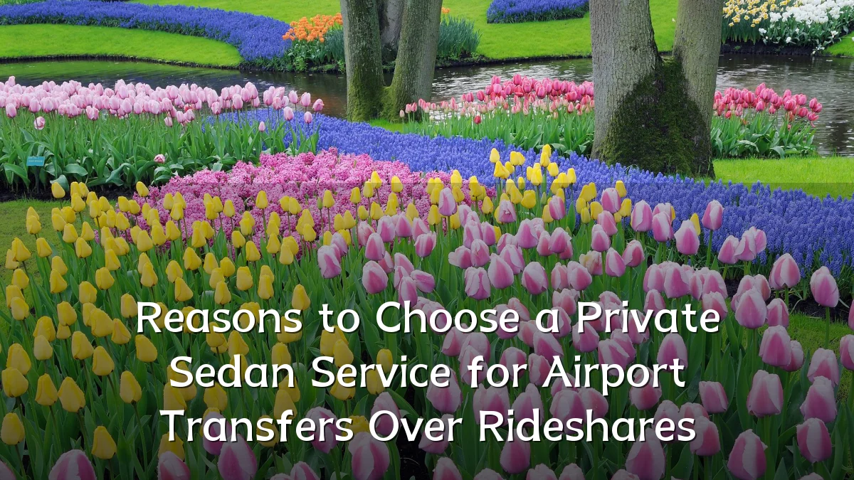 Reasons to Choose a Private Sedan Service for Airport Transfers Over Rideshares