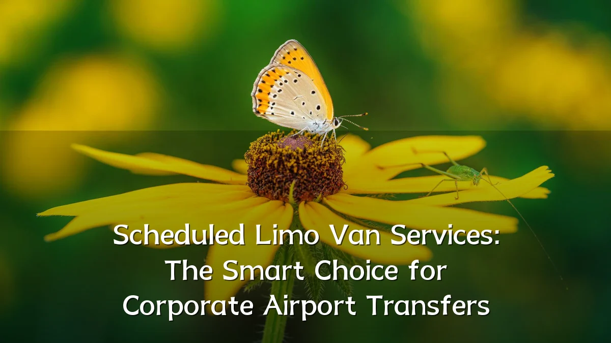 Scheduled Limo Van Services: The Smart Choice for Corporate Airport Transfers