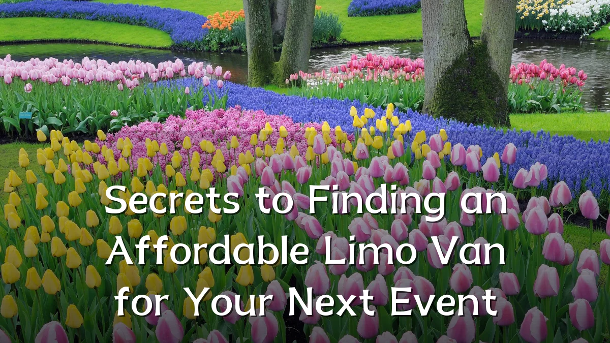 Secrets to Finding an Affordable Limo Van for Your Next Event