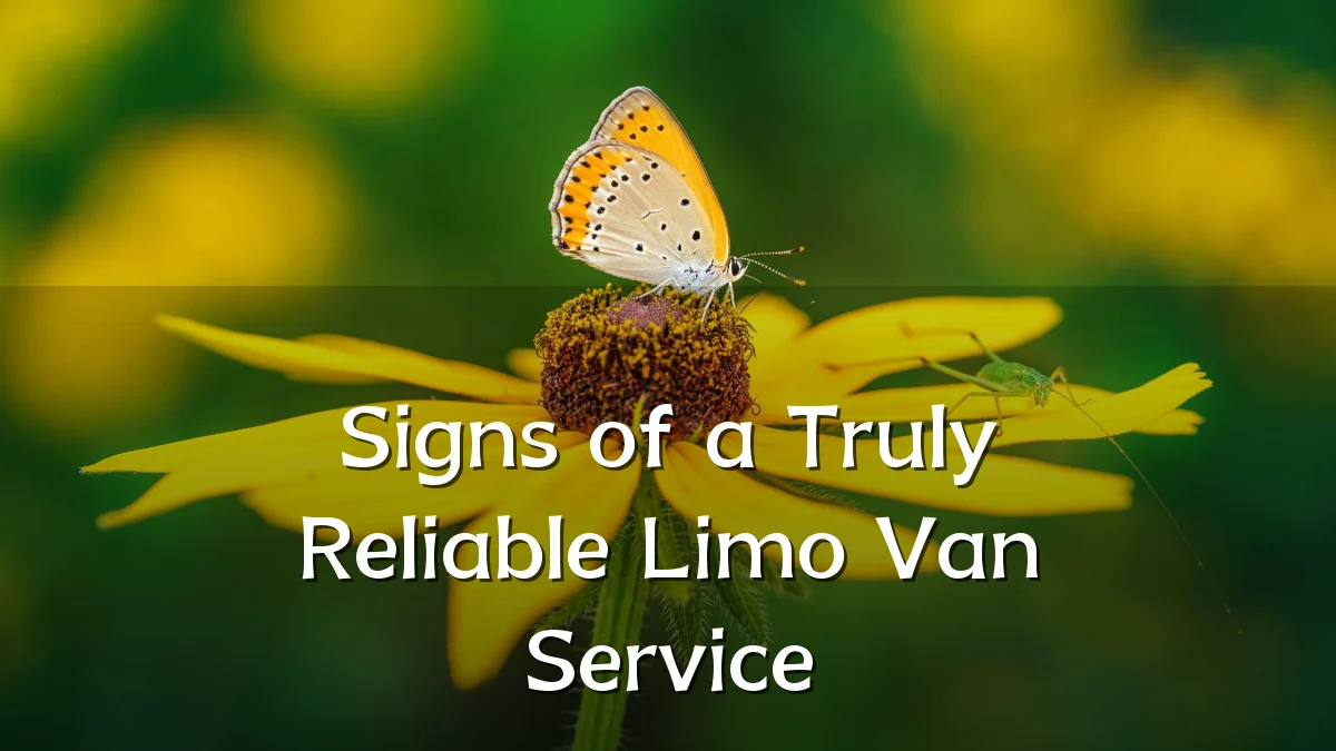 Signs of a Truly Reliable Limo Van Service