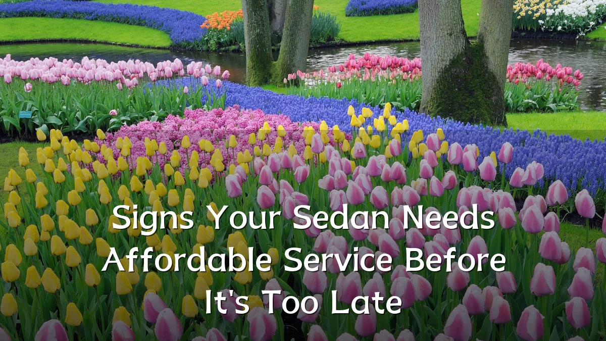 Signs Your Sedan Needs Affordable Service Before It's Too Late