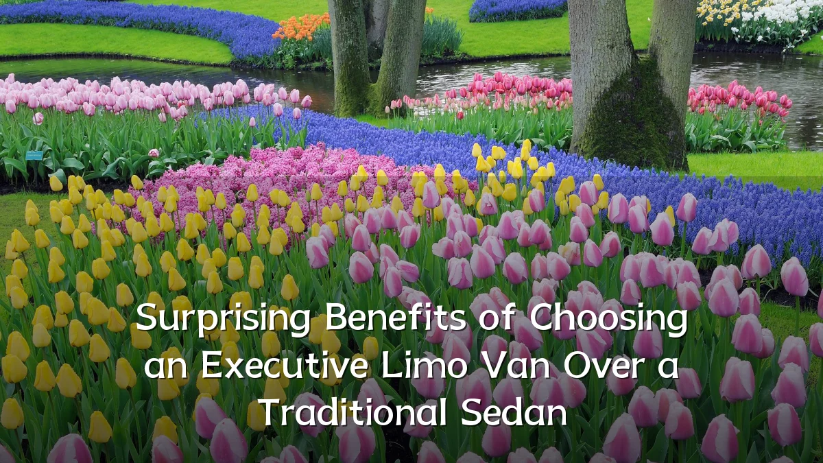 Surprising Benefits of Choosing an Executive Limo Van Over a Traditional Sedan
