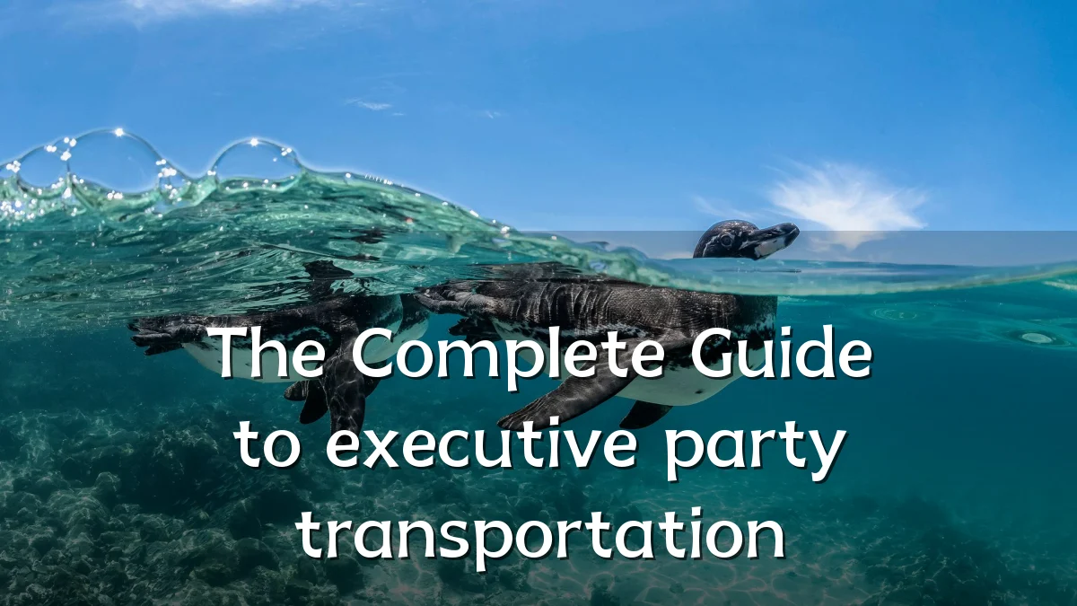 The Complete Guide to executive party transportation