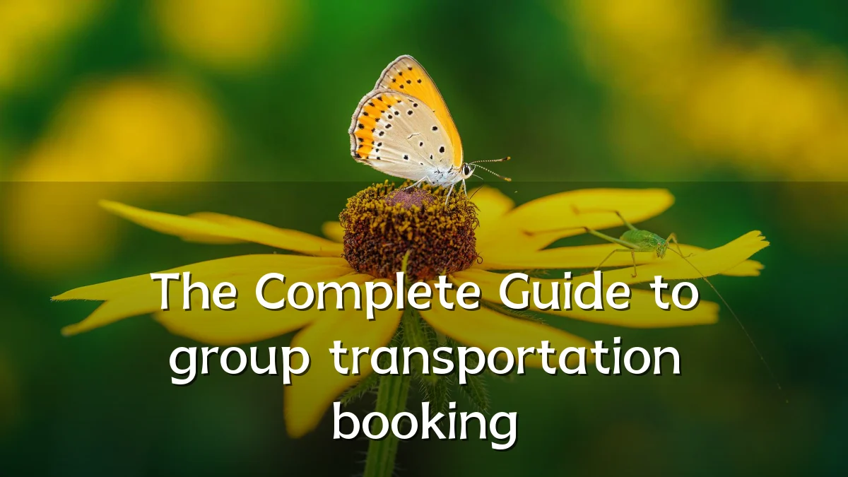 The Complete Guide to group transportation booking
