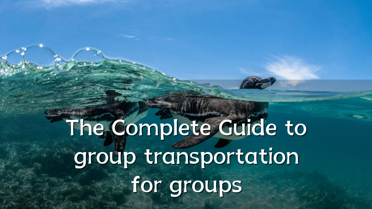 The Complete Guide to group transportation for groups