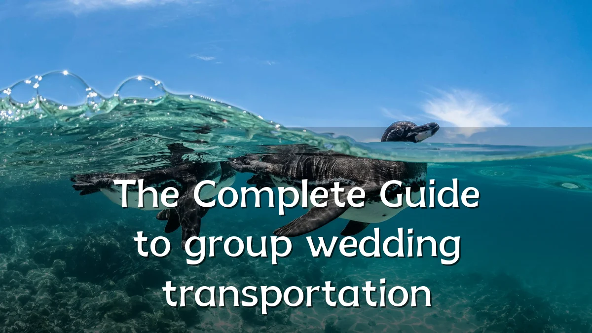 The Complete Guide to group wedding transportation