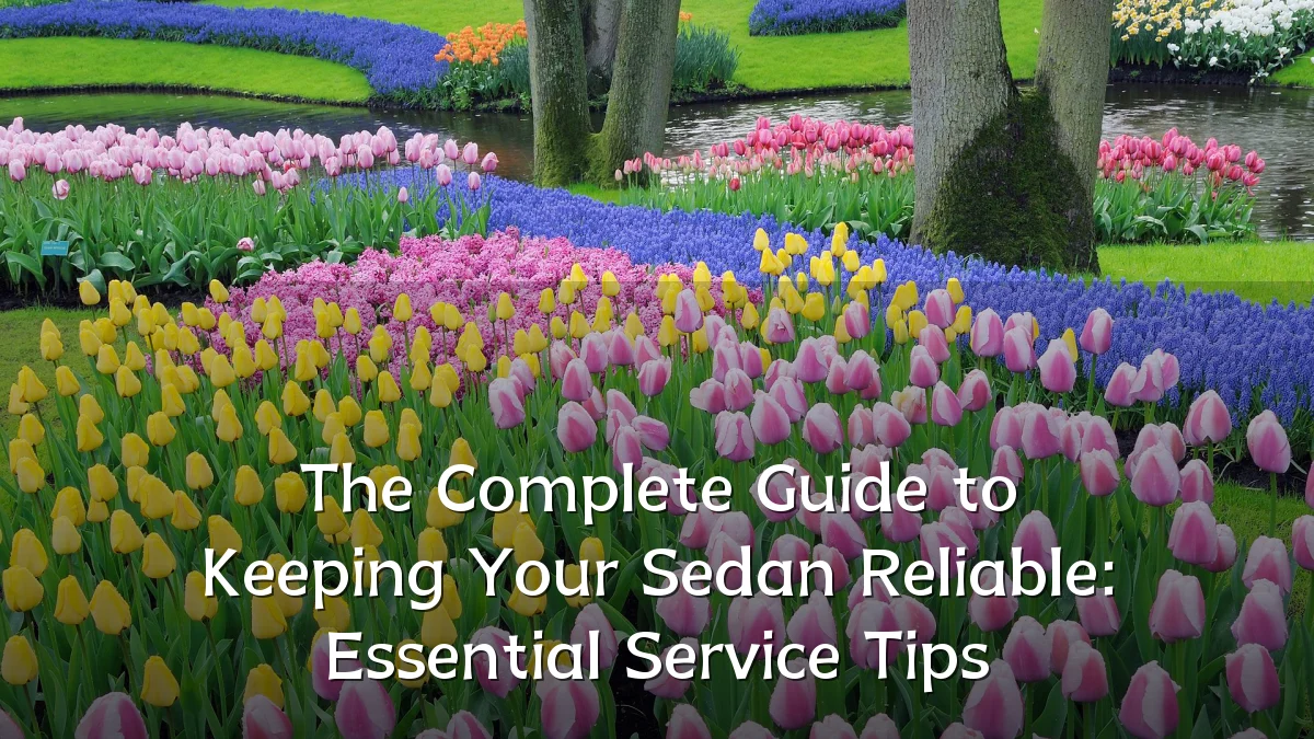 The Complete Guide to Keeping Your Sedan Reliable: Essential Service Tips