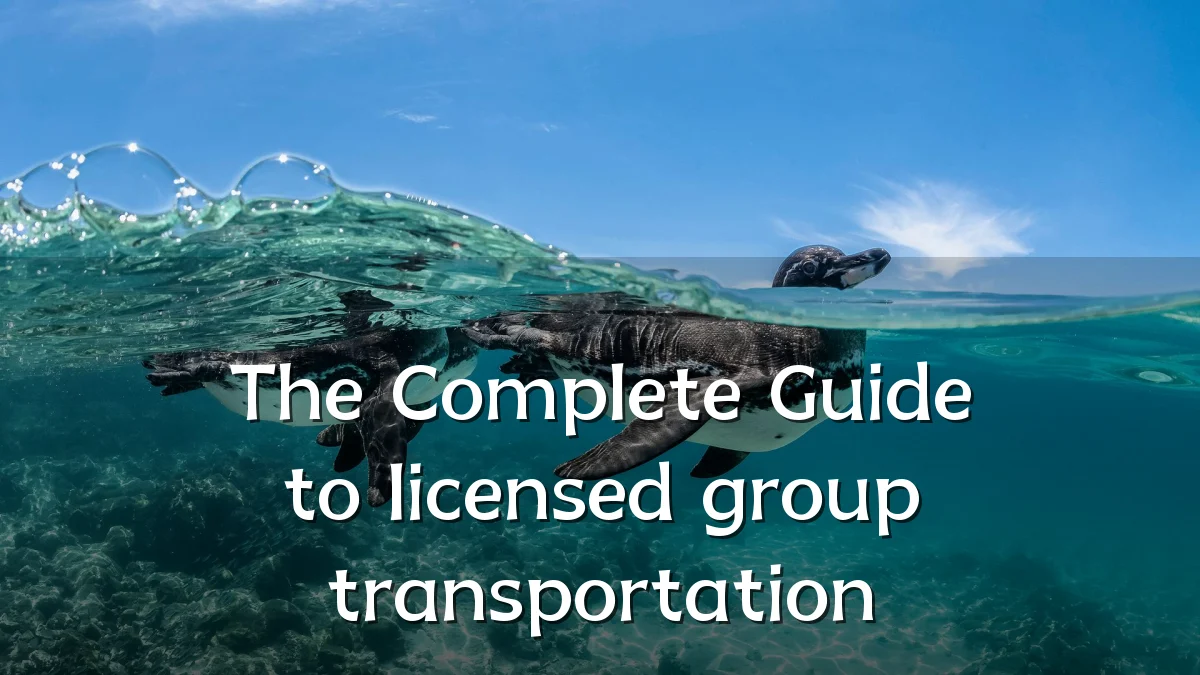 The Complete Guide to licensed group transportation