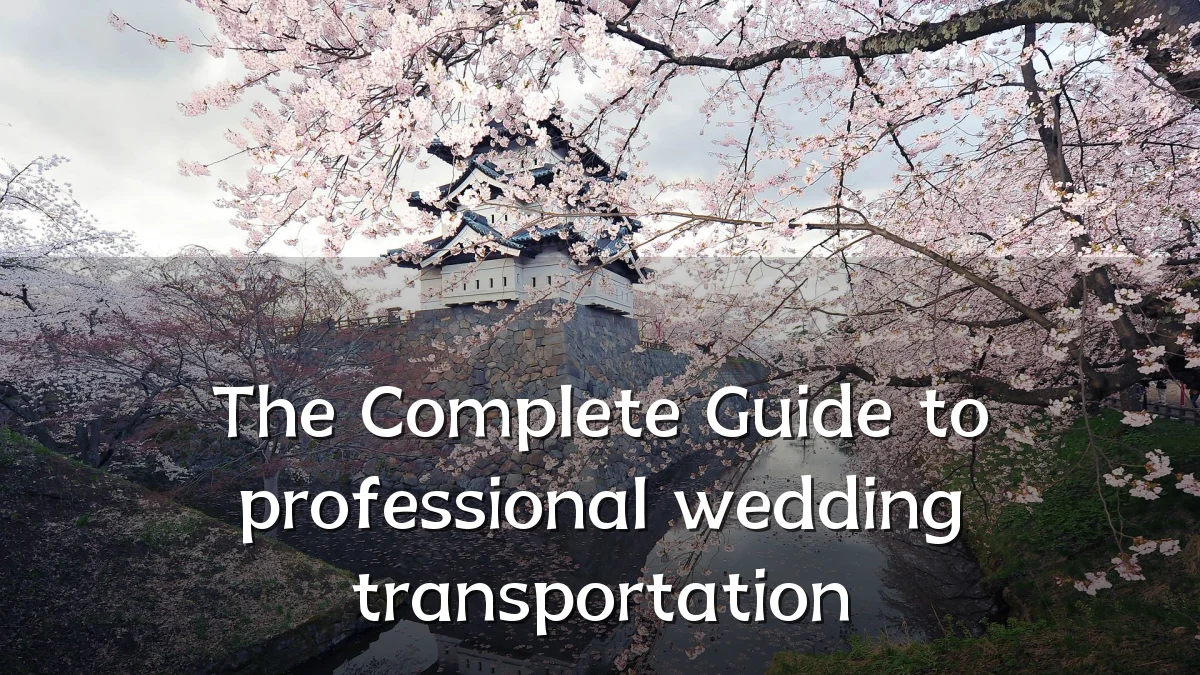The Complete Guide to professional wedding transportation