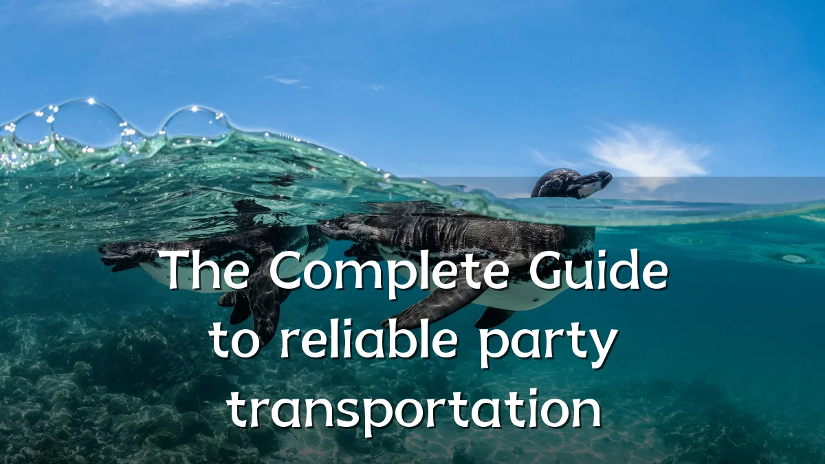 The Complete Guide to reliable party transportation