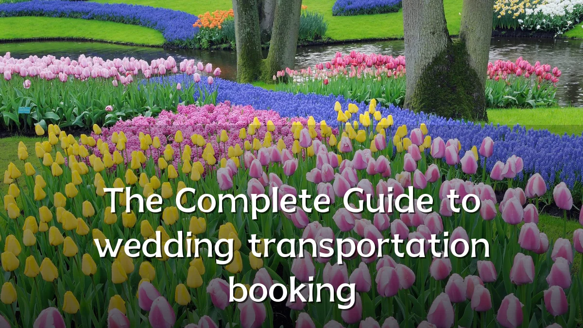 The Complete Guide to wedding transportation booking