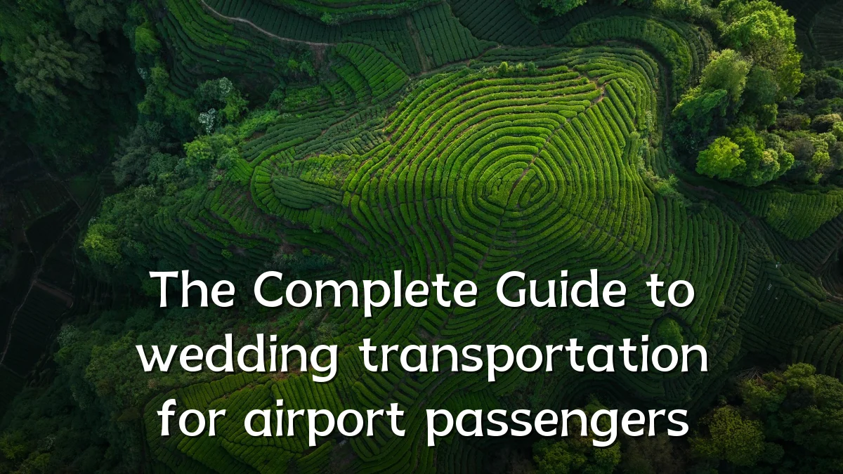 The Complete Guide to wedding transportation for airport passengers