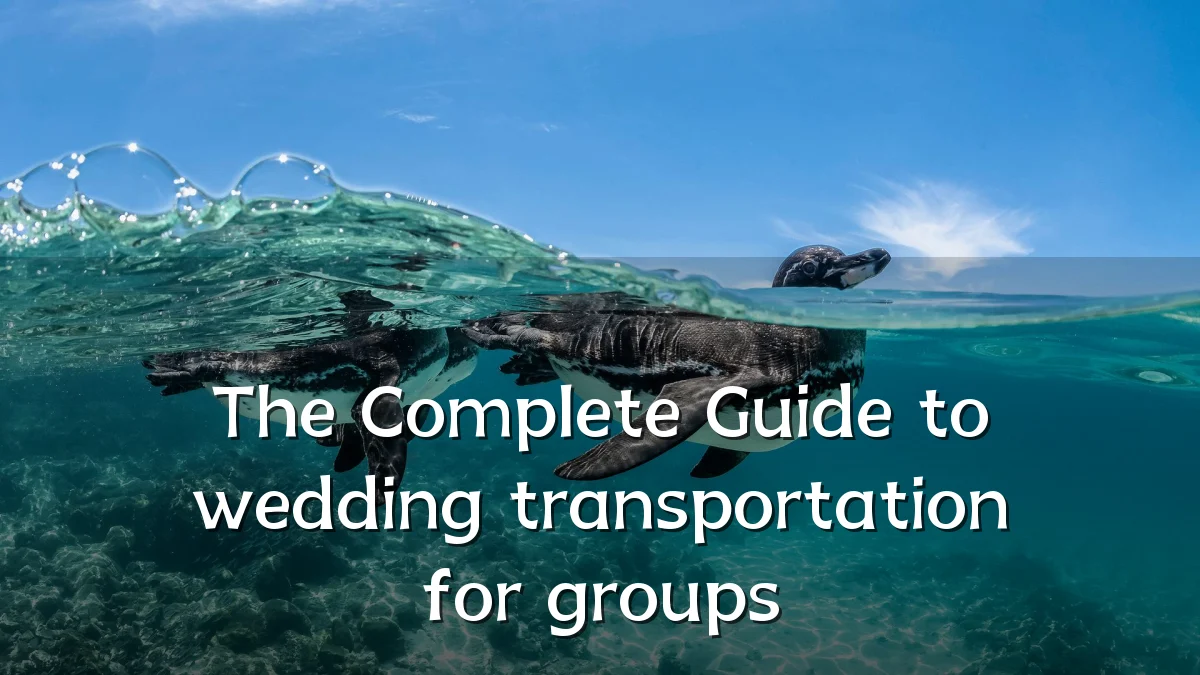 The Complete Guide to wedding transportation for groups