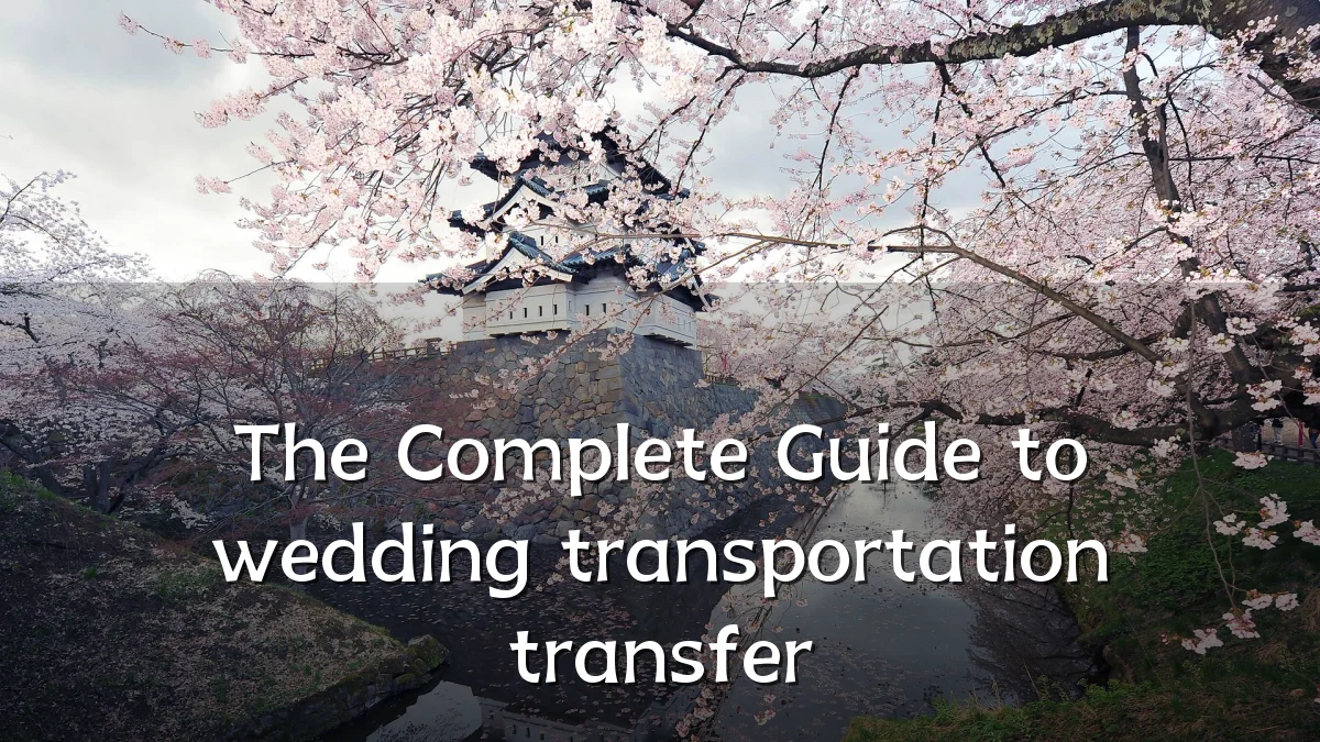 The Complete Guide to wedding transportation transfer