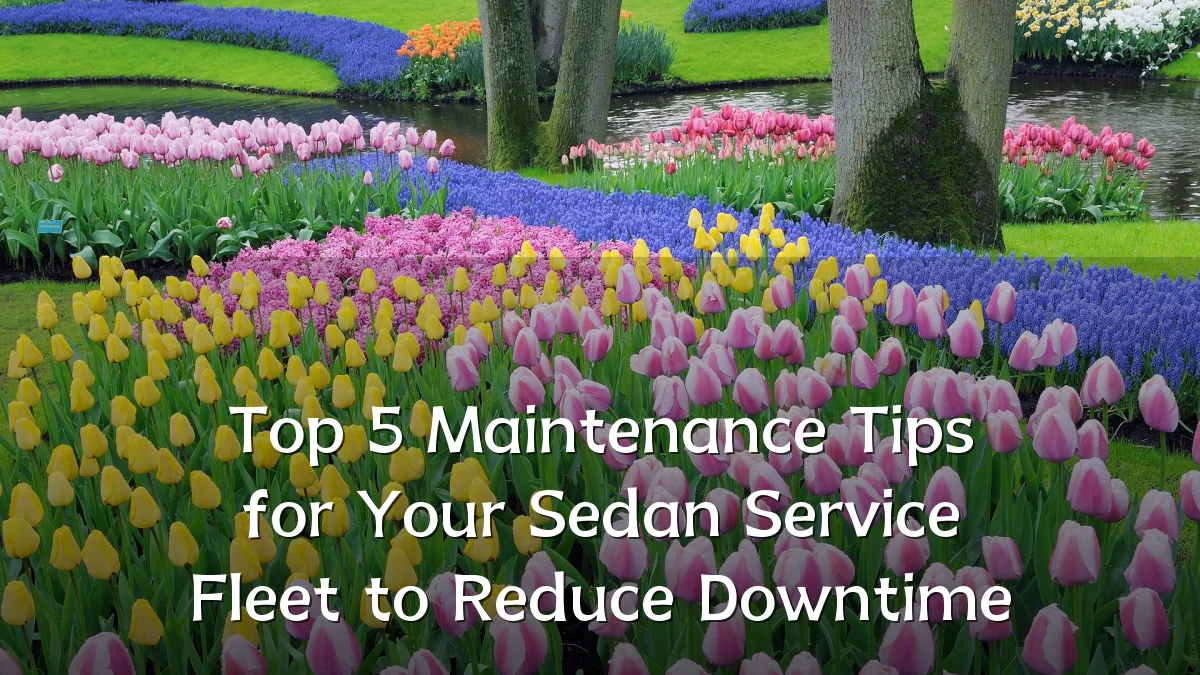 Top 5 Maintenance Tips for Your Sedan Service Fleet to Reduce Downtime
