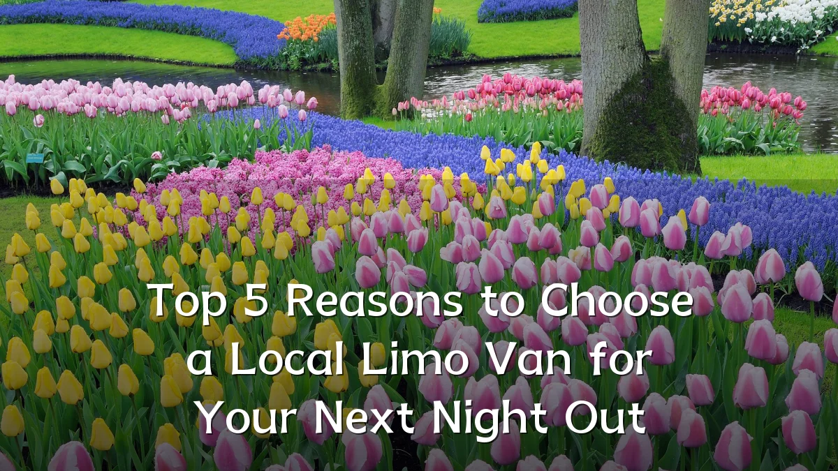 Top 5 Reasons to Choose a Local Limo Van for Your Next Night Out