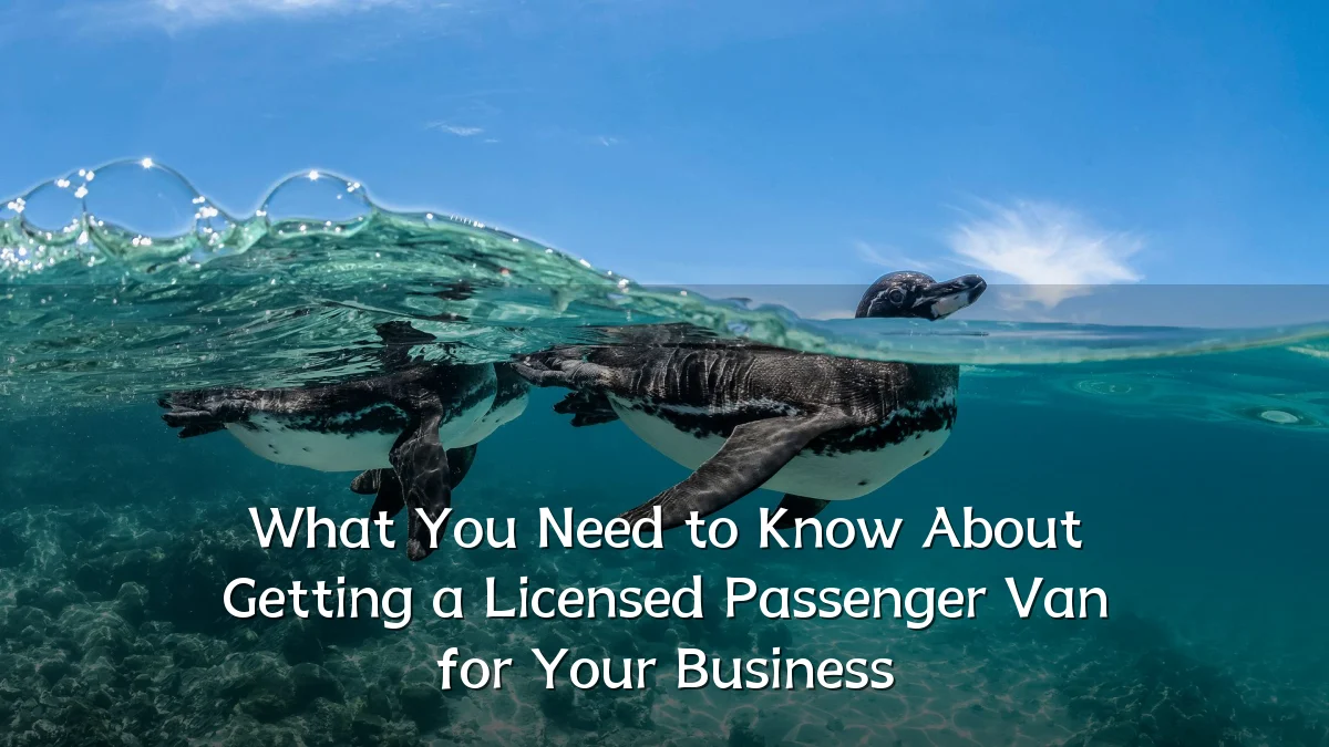 What You Need to Know About Getting a Licensed Passenger Van for Your Business