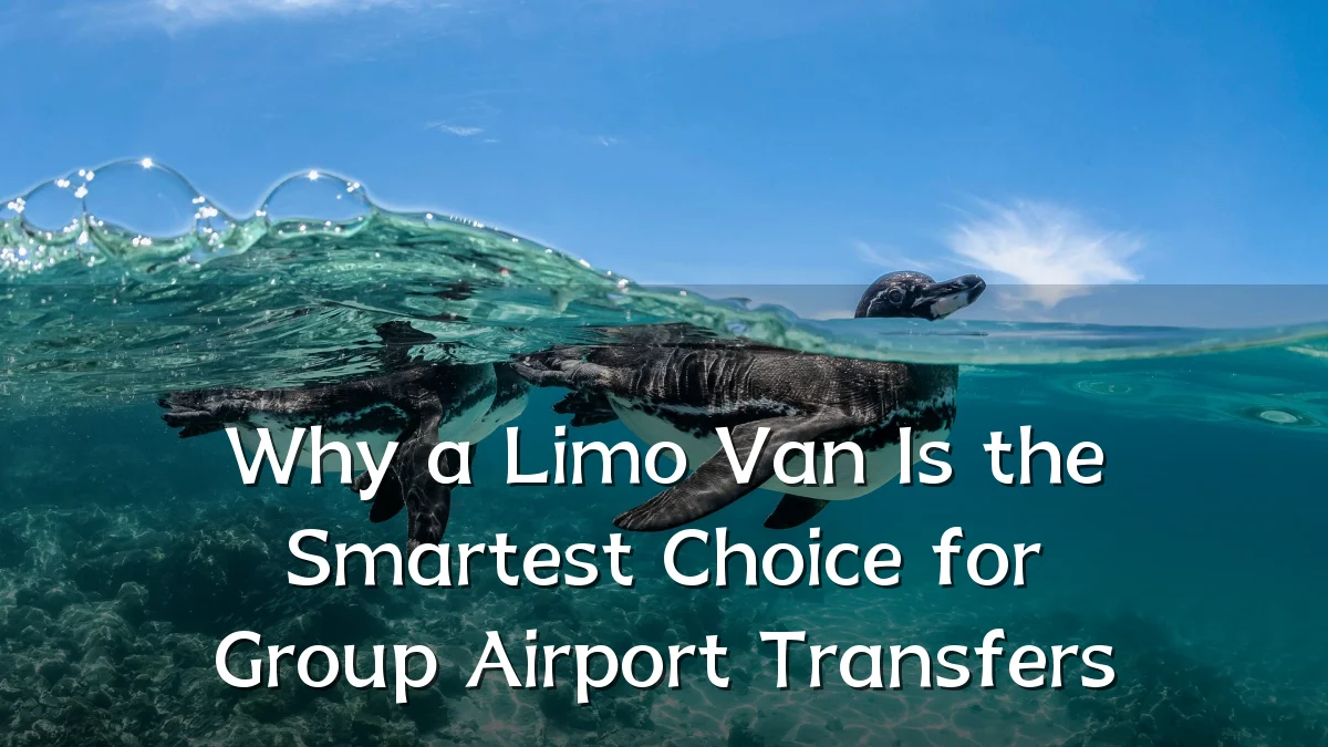 Why a Limo Van Is the Smartest Choice for Group Airport Transfers