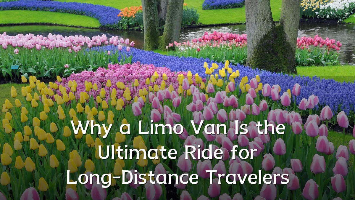 Why a Limo Van Is the Ultimate Ride for Long-Distance Travelers