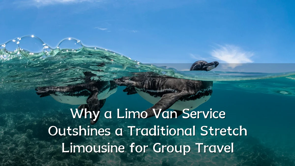 Why a Limo Van Service Outshines a Traditional Stretch Limousine for Group Travel