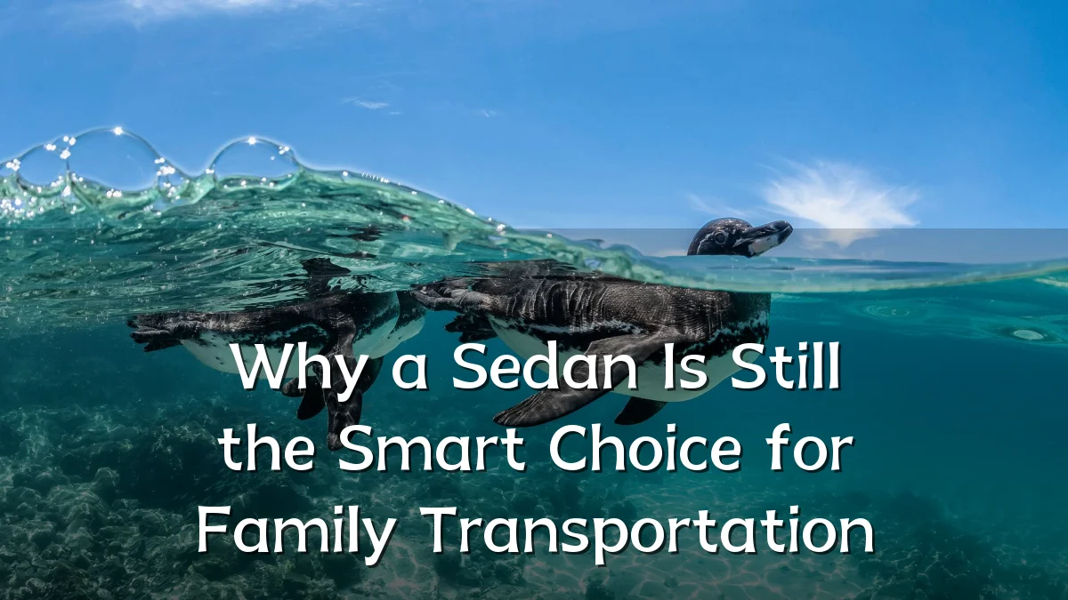 Why a Sedan Is Still the Smart Choice for Family Transportation