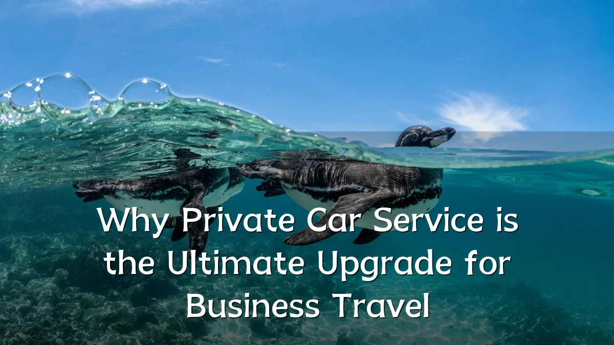 Why Private Car Service is the Ultimate Upgrade for Business Travel