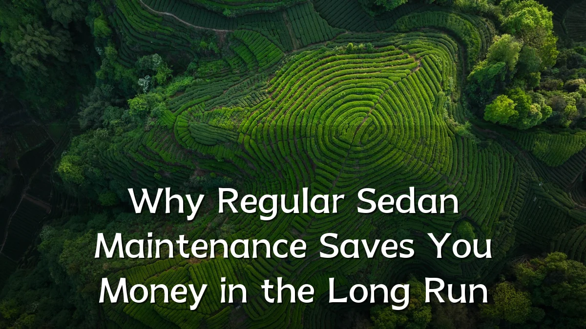 Why Regular Sedan Maintenance Saves You Money in the Long Run