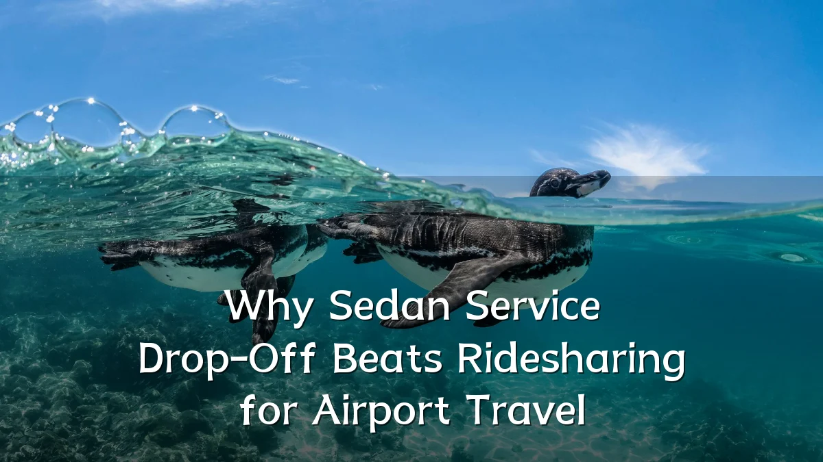 Why Sedan Service Drop-Off Beats Ridesharing for Airport Travel
